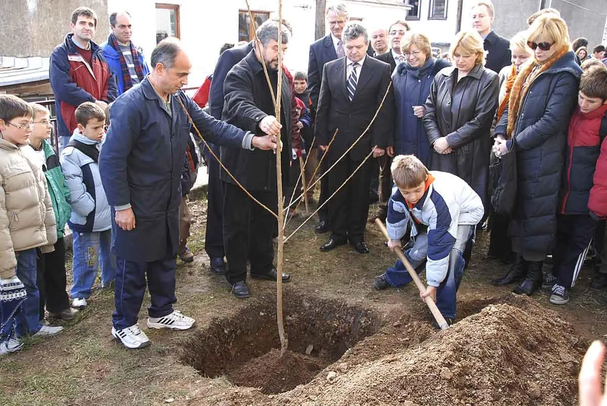 People planting a cherry tree in honour of Toše Proeski at a school in Kruševo